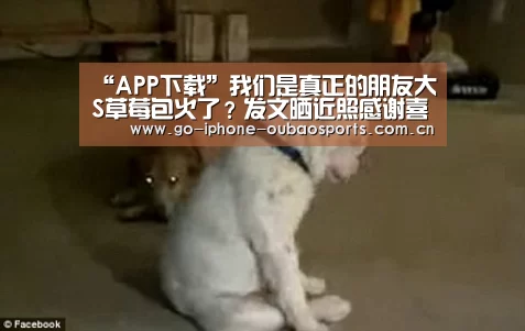 “APP下载”我们是真正的朋友大S草莓包火了?发文晒近照感谢喜欢(图2) 欧宝体育APP
