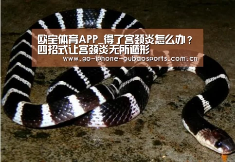 欧宝体育APP_得了宫颈炎怎么办?四招式让宫颈炎无所遁形(图3) iOS下载