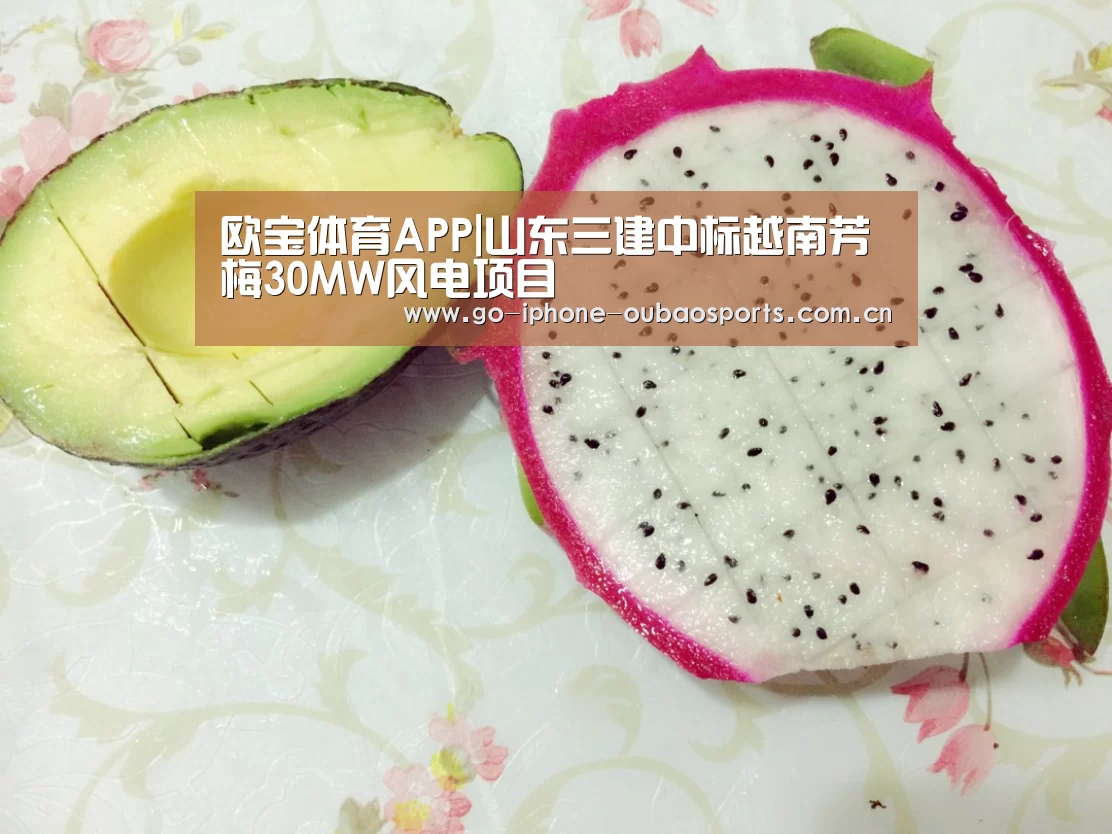 欧宝体育APP|山东三建中标越南芳梅30MW风电项目(图1) Android下载