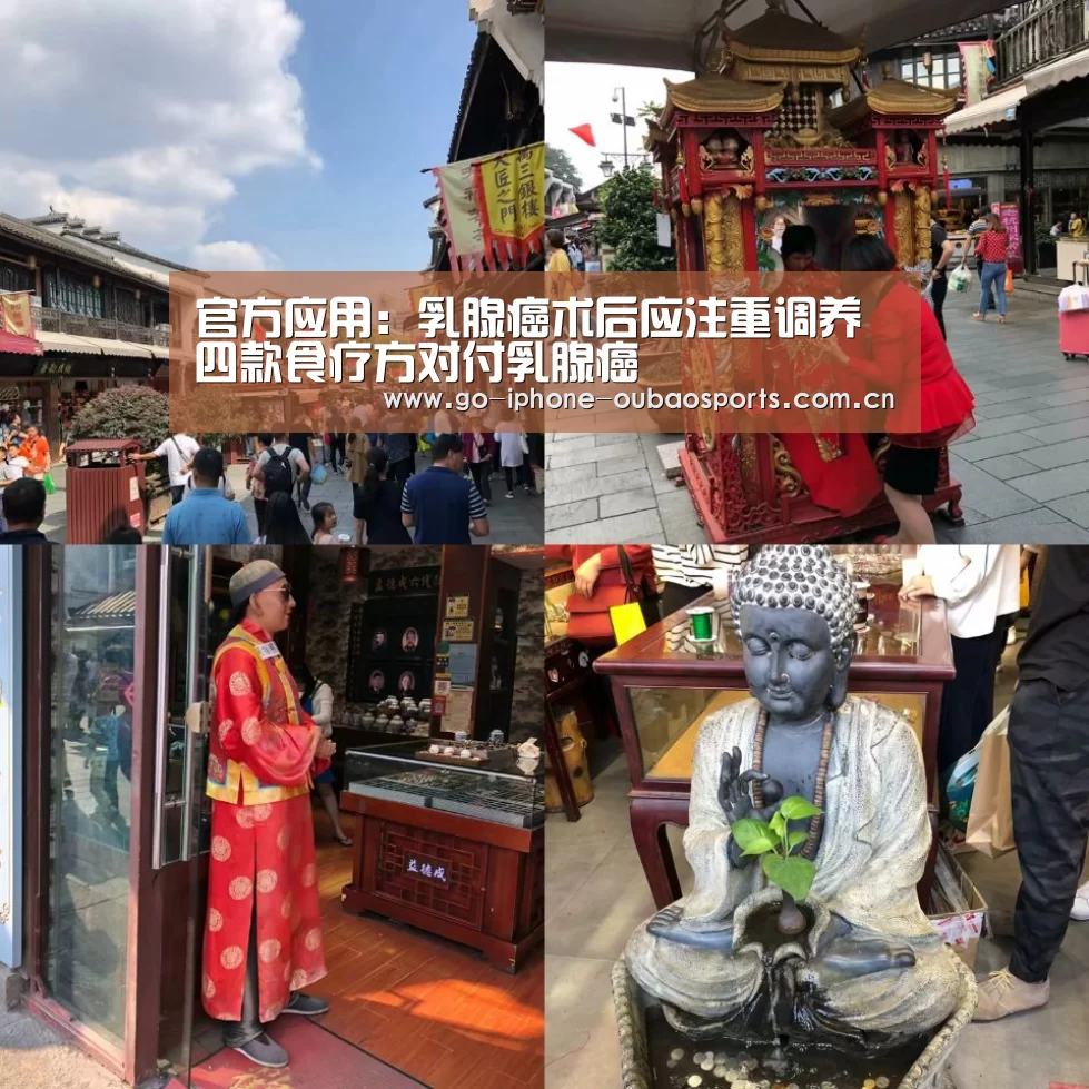 官方应用