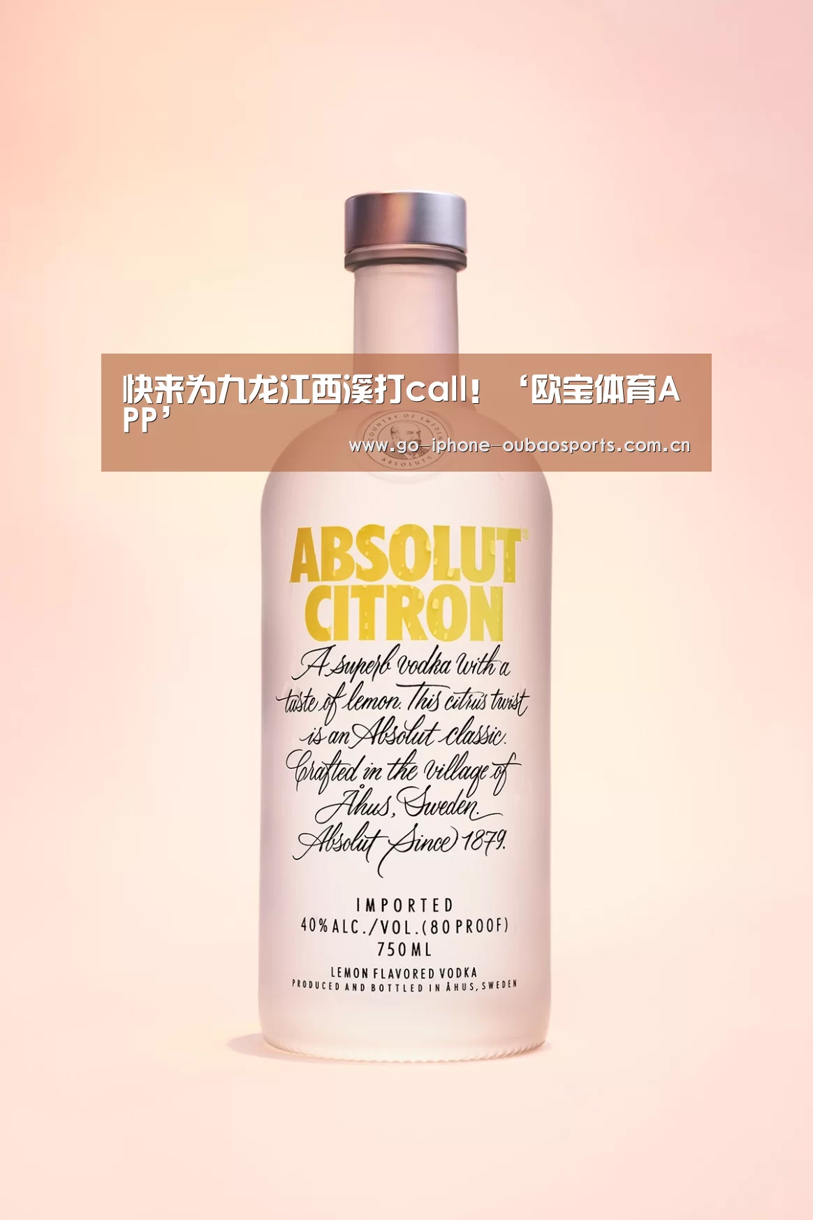 APP下载