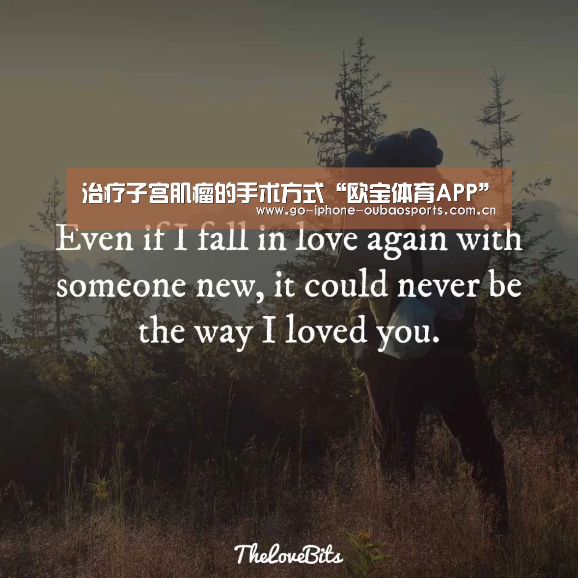 欧宝体育APP
